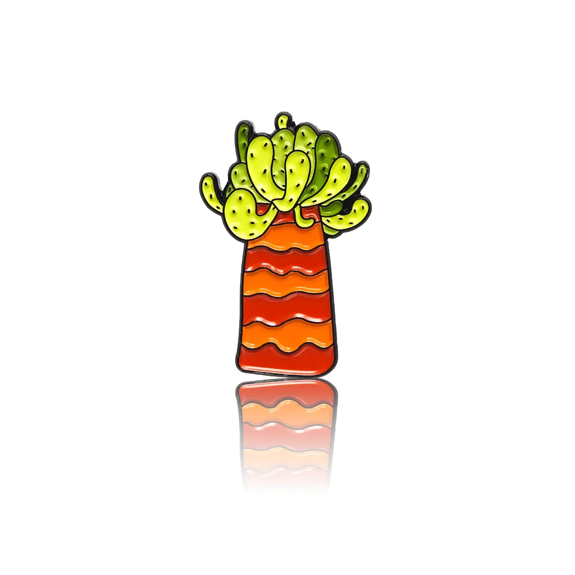 Kaktus w kolorowej doniczce