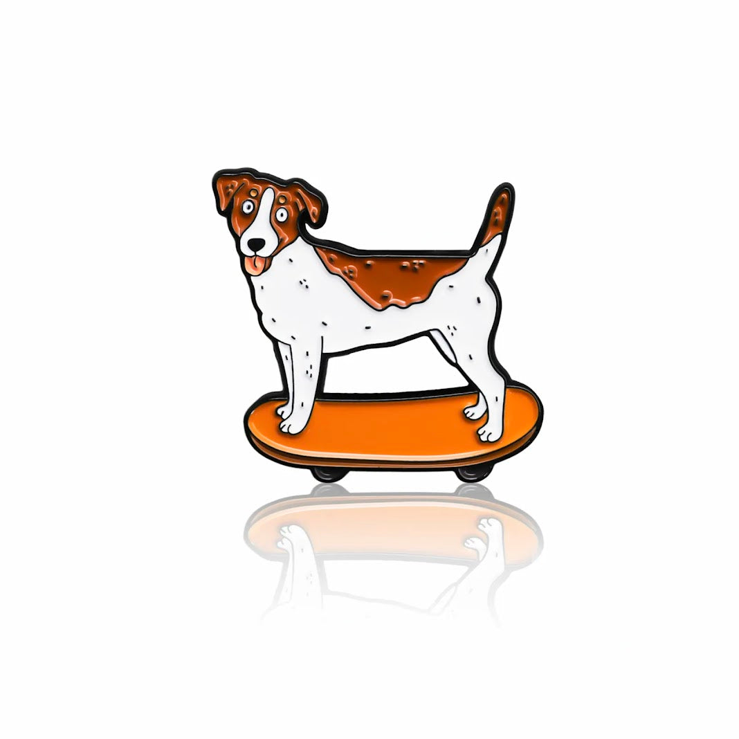 Jack Russell Terrier on a skateboard
